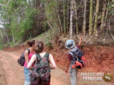 Photos from our guests | Chiang Mai Trekking | The best trekking in Chiang Mai with Piroon Nantaya